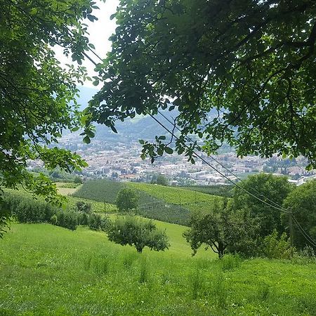 Kienasthof Apartman Bressanone Kültér fotó