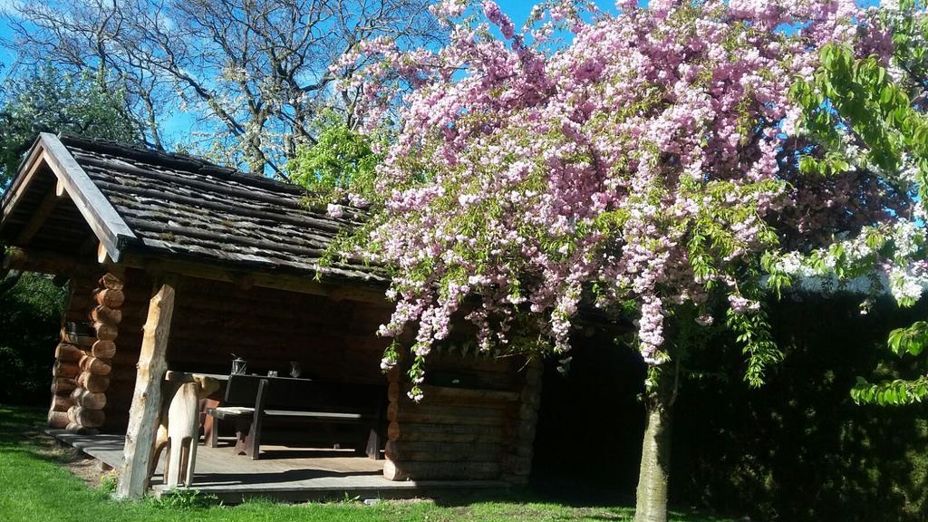 Kienasthof Apartman Bressanone Kültér fotó